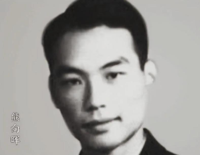 1982年，63岁的中央统战部副部长熊向晖打报告申请退休。叶剑英得知后，生气地质