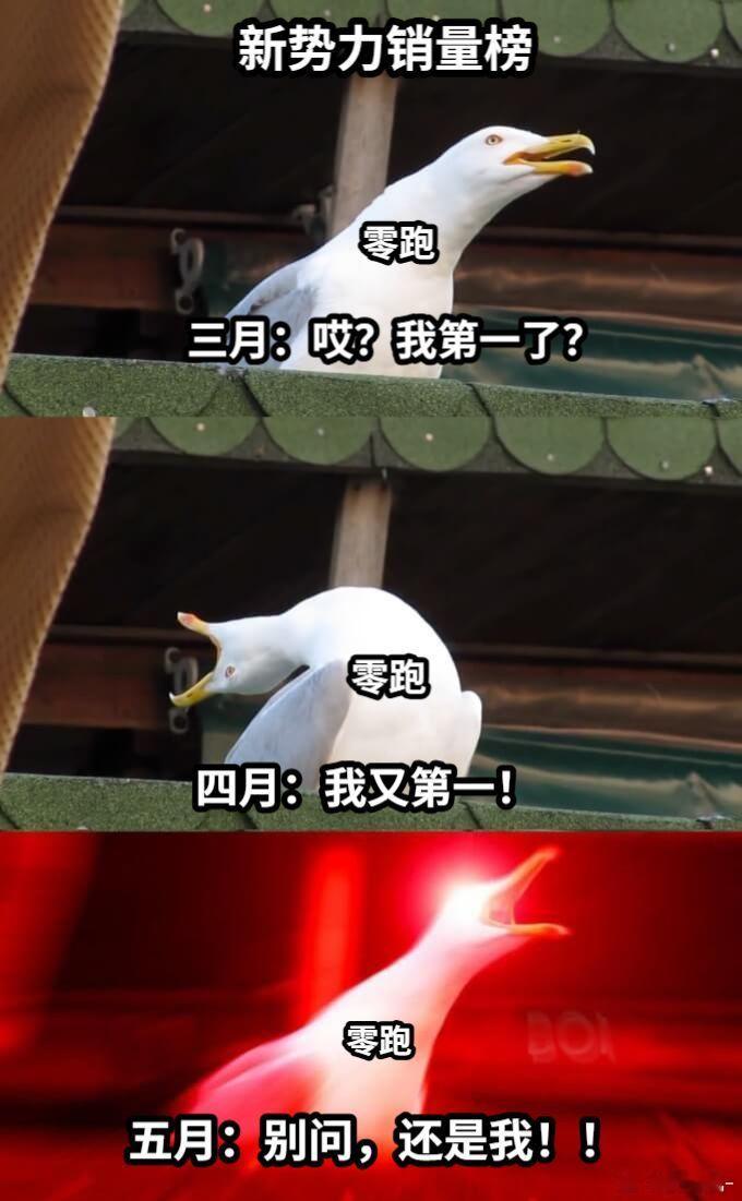 零跑5月销量创下新高突破了45000台，连续三个月稳居新势力销量第一，其中C10