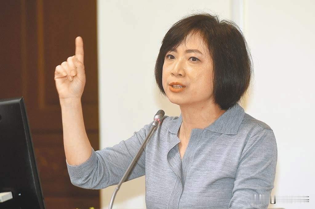 绿营何欣纯涉“贿选”，连忙取消活动做出辩解。日前在谢典霖羁押之后，不少蓝白人选相