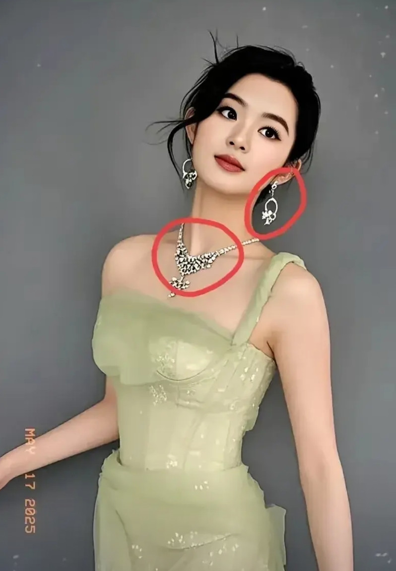 网友真的正义感爆棚，直接举报到了中纪委，也就是二十届中央第五轮巡视组这一组的巡视