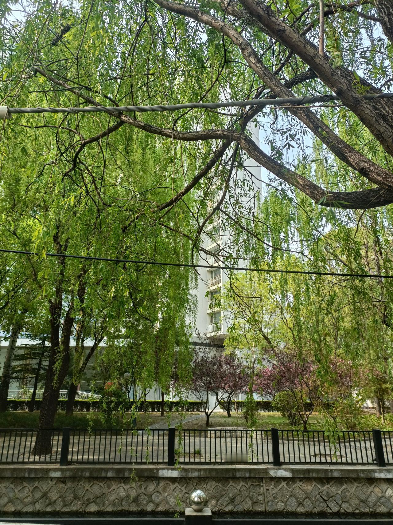 幸福到底是啥？前两天朋友聚会就讨论了这问题，有人说图钱，有人说图名，争半天也没结