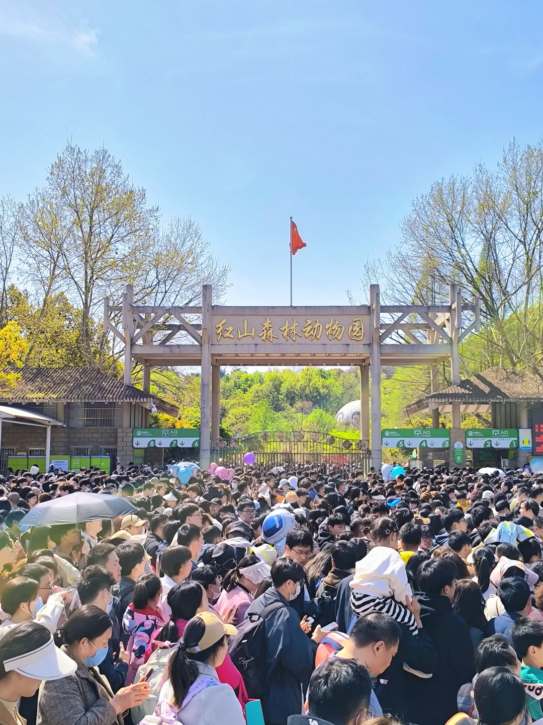 💥劝退！南京红山动物园春假清明别来啦～