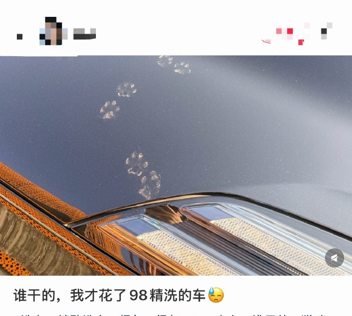 笑到肚子疼，你也是吗？快分享你的快乐源泉吧！