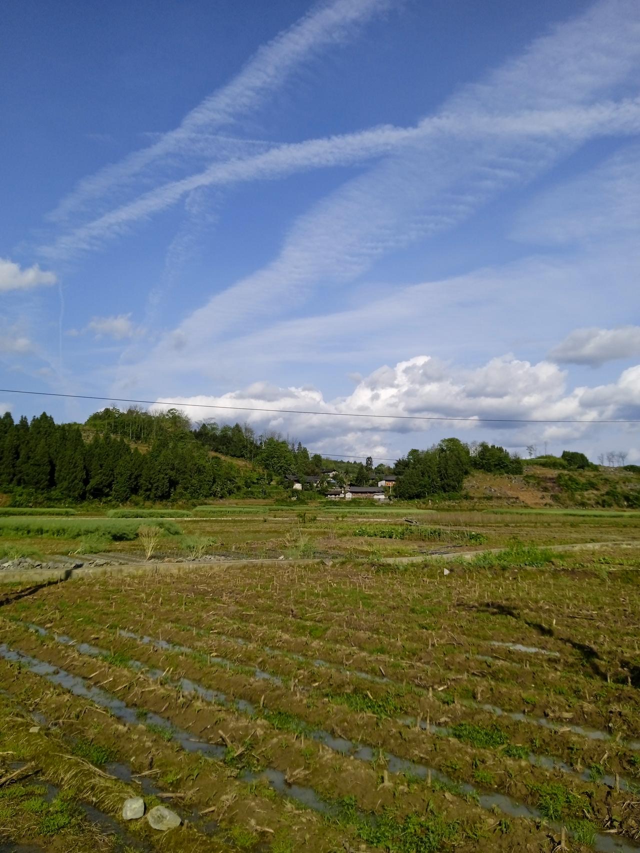 生女儿没有生儿子的人晚年反而过得自在舒服，不干活吃喝玩乐，女儿还贴心。我们这有
