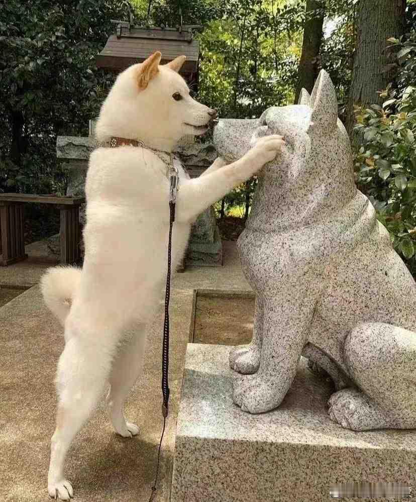 宝，怎么被封印了？​​​