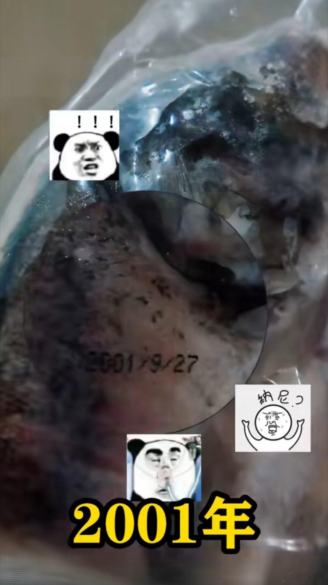 好家伙，这条冻鱼比我还大[捂脸哭]​​​