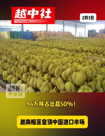 越南榴莲登顶中国进口市场第一位！中国海关数据显示，2025年越南榴莲对中国出