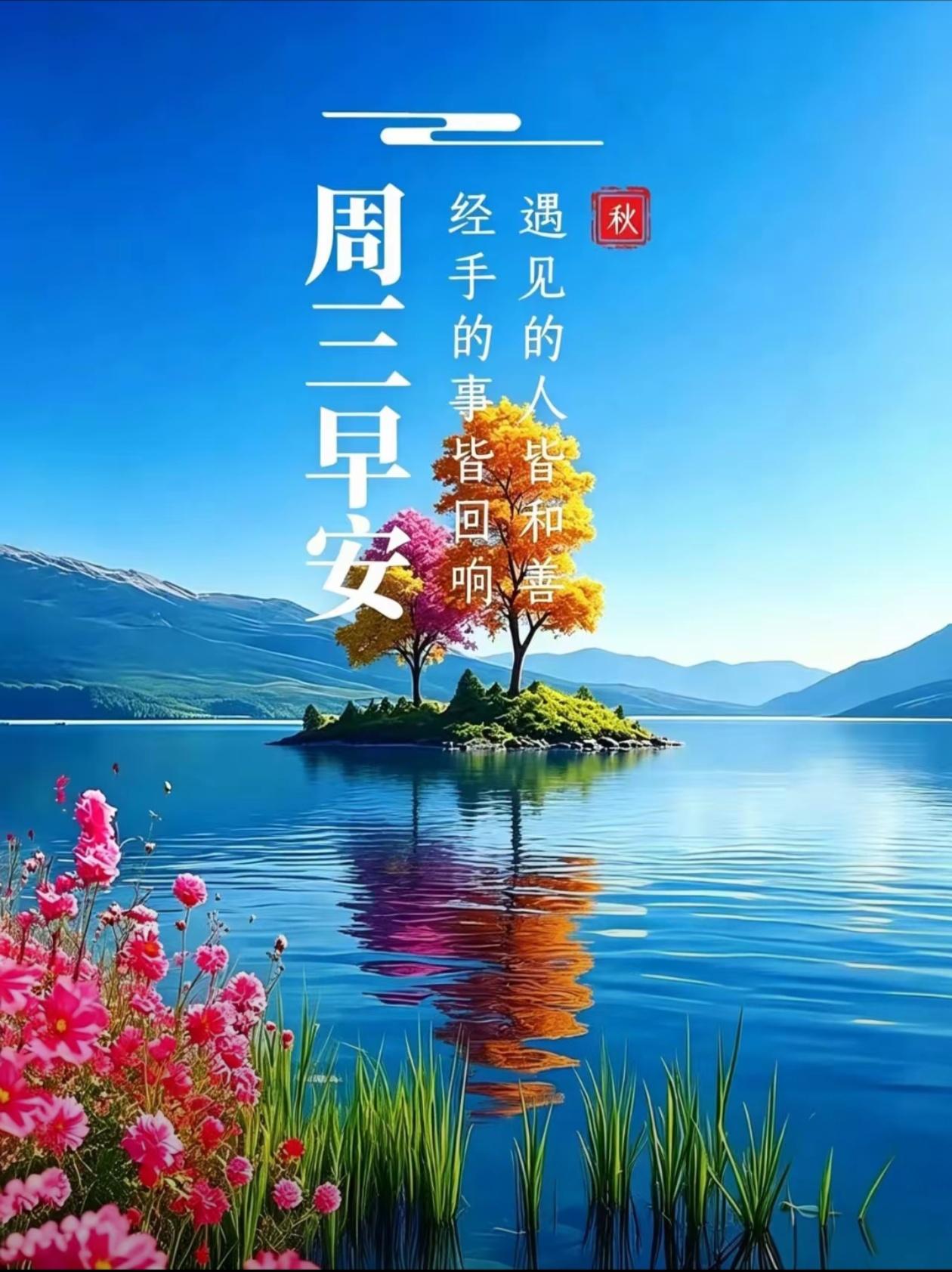 2026./10月14日，秋光照心宽，清晓送安康🍁🌻一缕秋