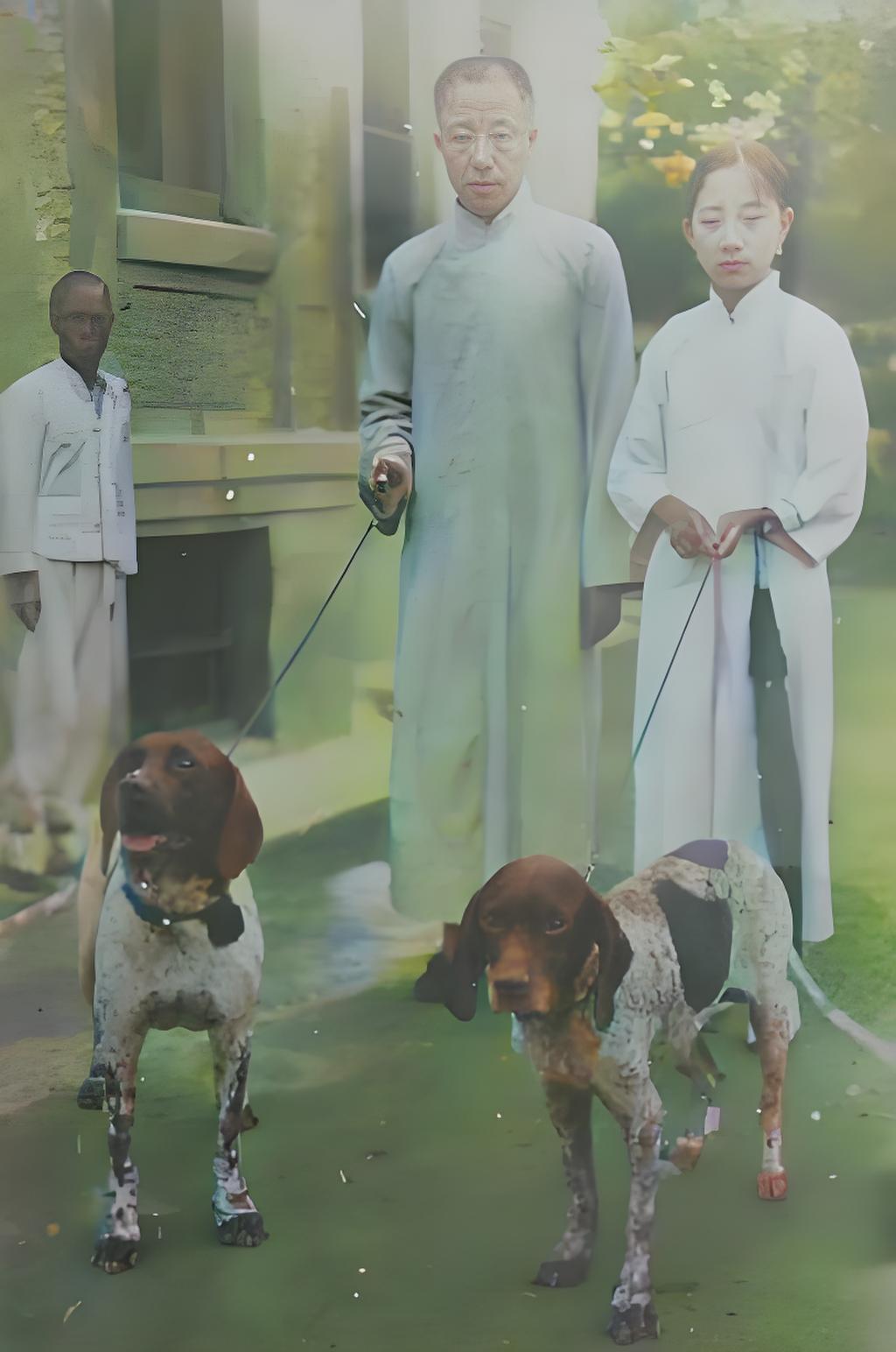 这张老照片里，时光停在旧时光景。载涛身着长衫，身姿挺拔，牵着猎犬，沉稳中藏着旧贵