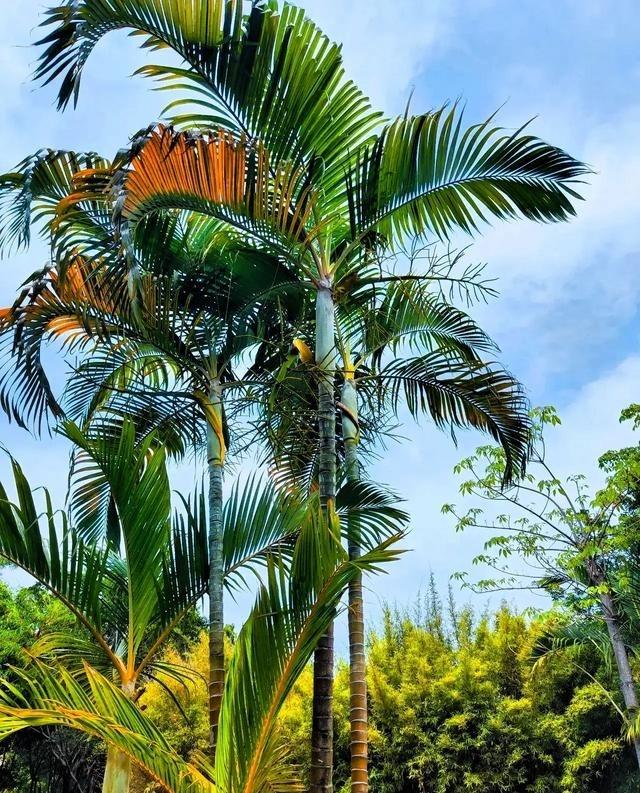 为什么现在越来越多的退休人员，不想出去旅游了，原因很扎心，也很真实。我和老伴原计