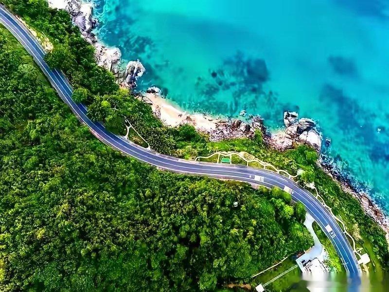 厦门物流枢纽厦门港务（港口物流）、厦门国贸（供应链贸易）、厦门象屿（大宗物流）、