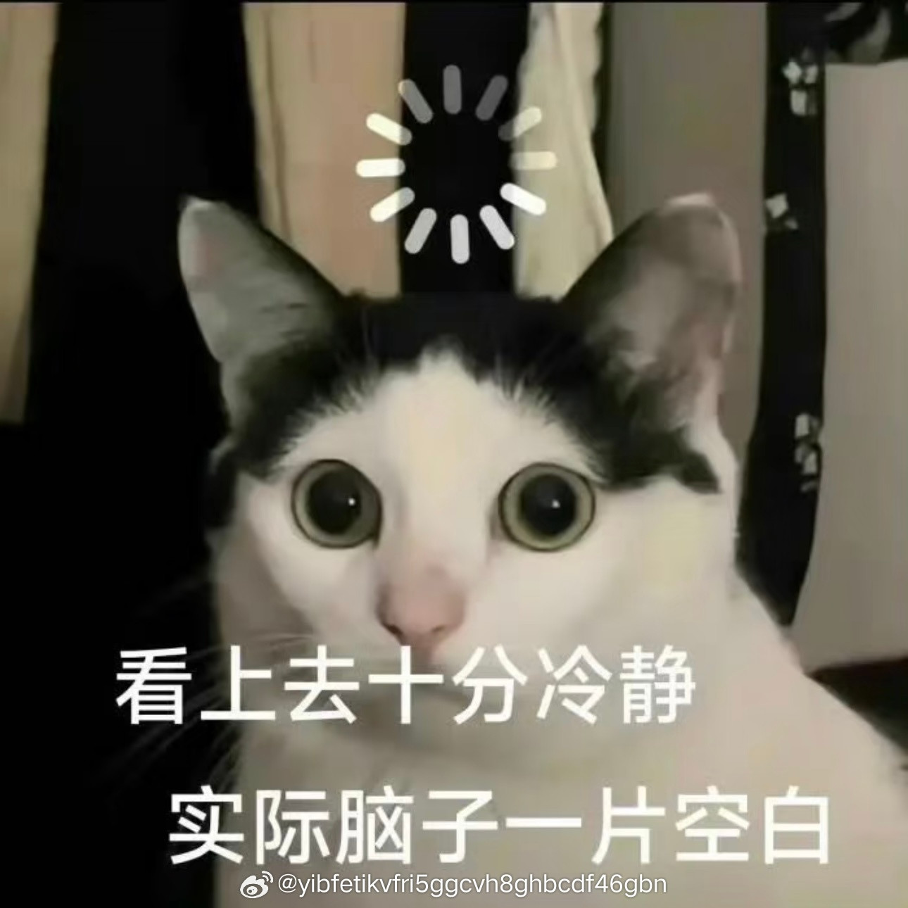 我刚刚进小区，一边走路一边玩手机，突然保安大叔对我说：“小妹妹你还会长高”我猛地