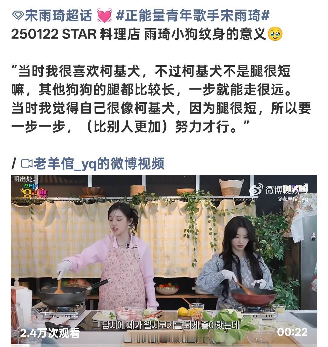 宋雨琦纹身柯基纹身的含义是激励自己一步一脚印往上爬，我不知道这样一个兢兢业业有上