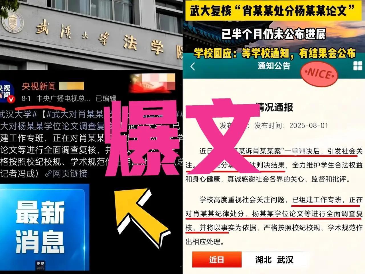 大家都错了，武大要死保的不是杨某媛，也不是自身的面子，而是他们那套陈旧又荒唐
