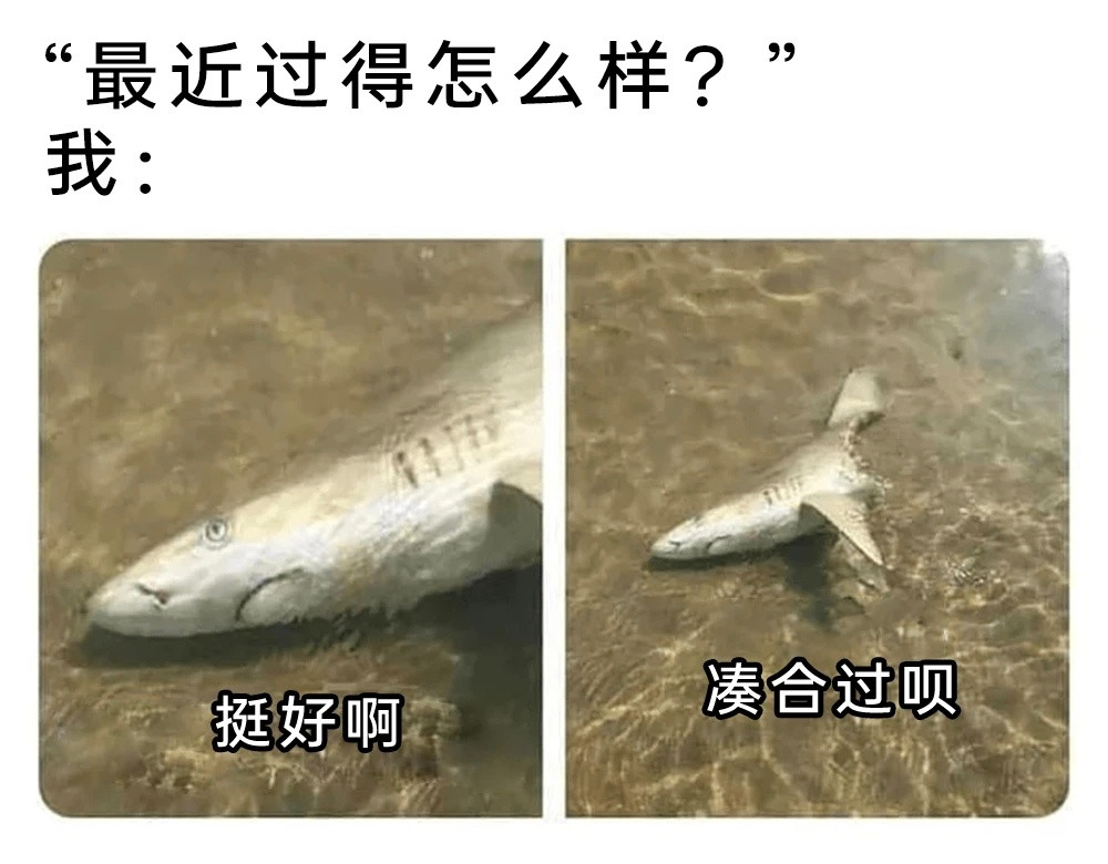 身残志坚​​​