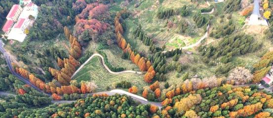 ​​秋风执笔，彩叶为墨，在襄阳谷城的山野间绘出一幅流动的画卷。这里的秋，不只有漫