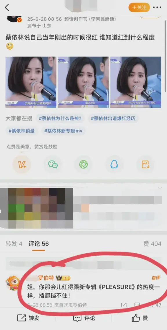 蔡依林说自己出道就很红，大家怎么看？