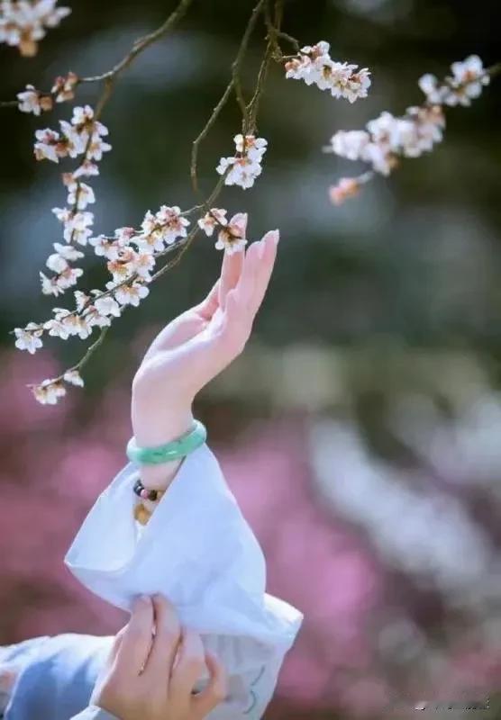 一段醍醐灌顶的话：“女人多久戒掉睡过的男人，并非取决于时间，而是心死。她们放下的