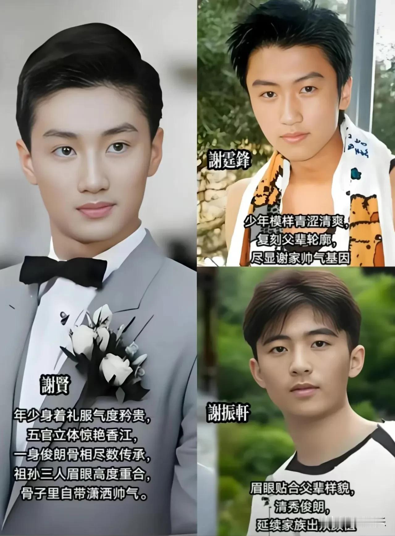 谢家三代男神同框，一脉相承的颜值太惊艳。谢贤俊朗矜贵，自带旧香港风流气度；谢