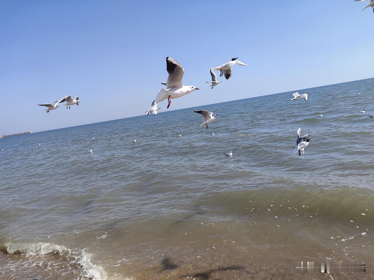 儿子说，同学遇到裁员，过完年就没去上班了。儿子和一个小学同学一直保持联络，两