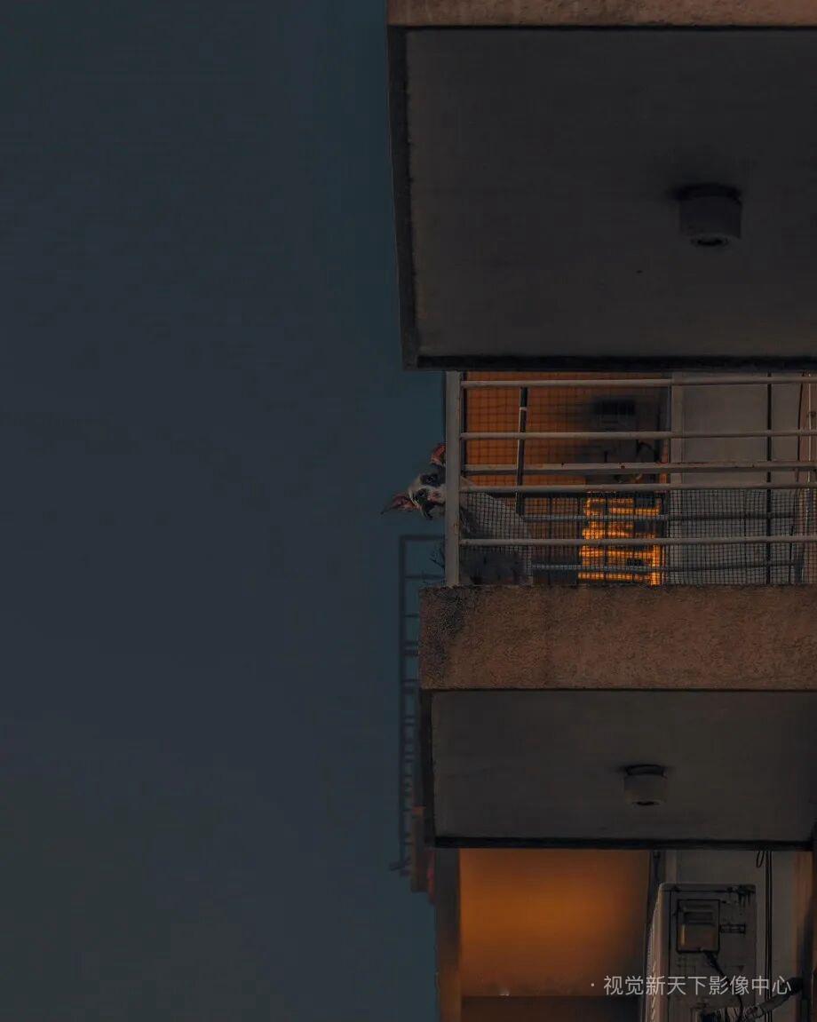 慢慢走，散步是人类最小单位的丰容。