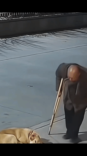 我终于明白他拄双拐的原因了！【是坏人变老了，还是老人变坏了？】