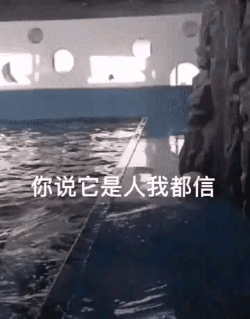 这智商，确实该送去上学了