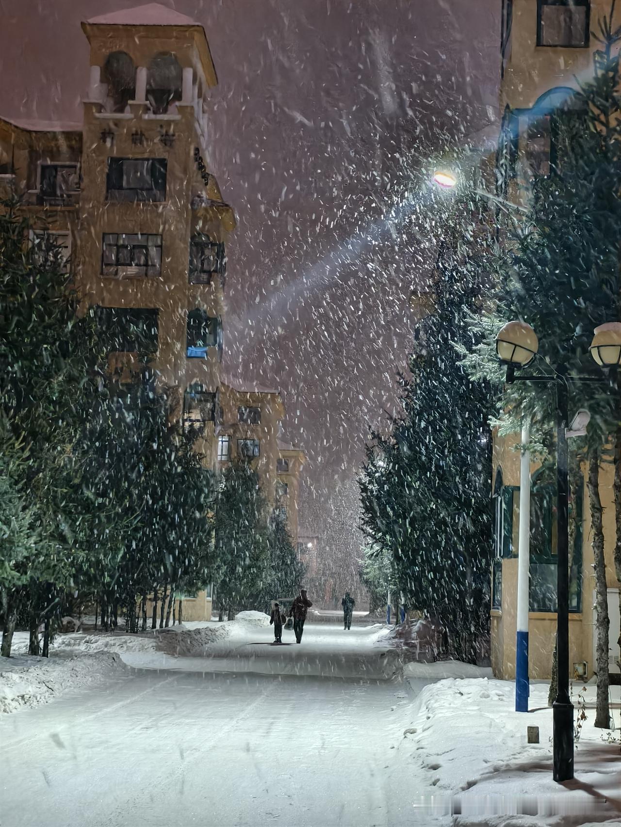 今日漠河下雪了，这几张张图，隔屏都能感受到东北的冬天！看这风雪中的松树和建筑，