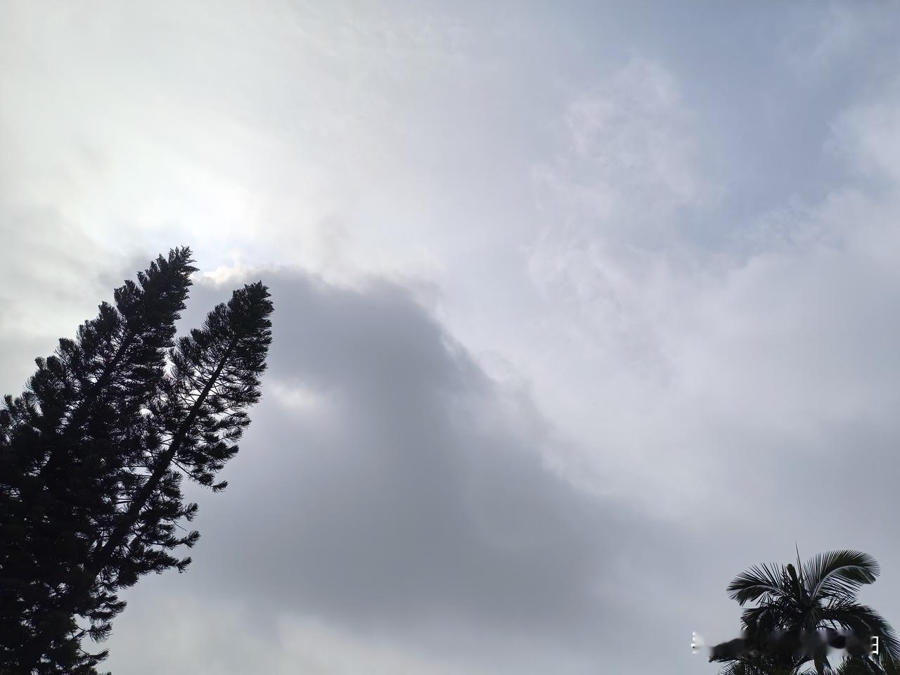 广东暴雨预警！未来一周强降雨来袭！今明（13～14日），广东有一次大雨到暴雨