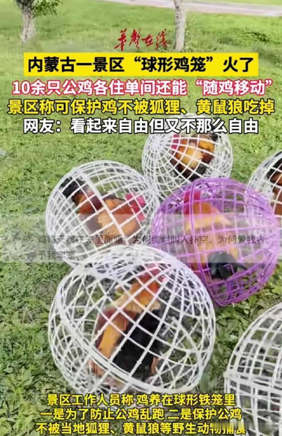 哪个天才想到的，就像我们每个人一样，既自由又不太自由[笑着哭]