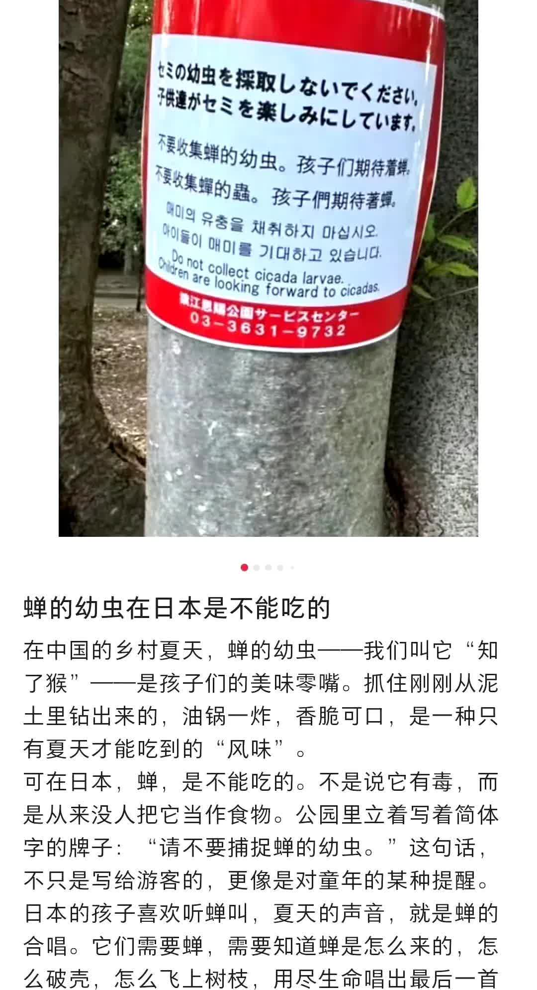 精日吹捧日本夏天不吃“知了猴”，因为日本为小孩保留了夏天的“诗句”，日本一个崇尚