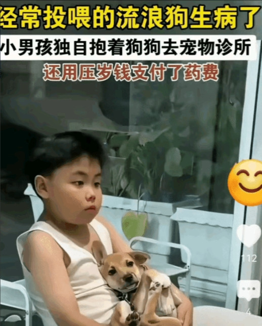 小男孩抱着小狗狗去看病，就像抱着自己的孩子，眼睛里充满了慈爱，小狗狗就像躺在妈妈