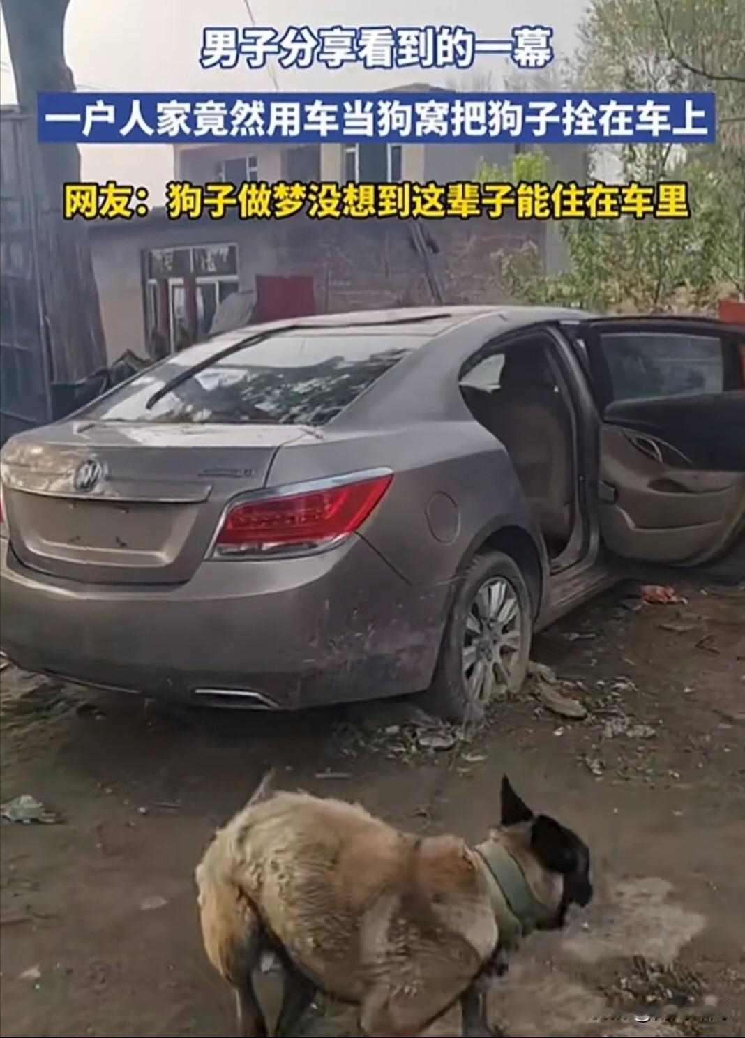 谁能想到，废旧车辆还能解锁全新用途，成了狗狗的专属小窝！一户人家直接将闲置