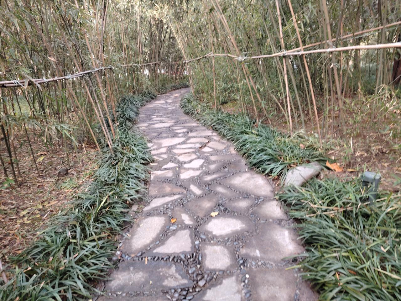 是当校长更为紧要，还是让孩子接班更为关键？袁老师曾是民办教师，凭借在民办教师转