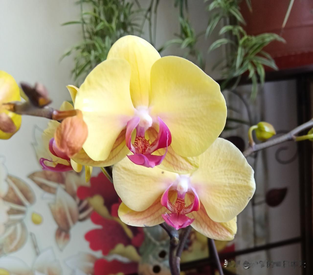 1、千万不要让闺女远嫁。2、不要回原来的单位，人走茶凉。3.养老钱要自