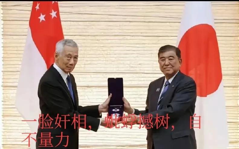 李显龙这家伙就是明显给中国九三阅兵添堵，明显与中国人民作对，在这个时间点去日本，