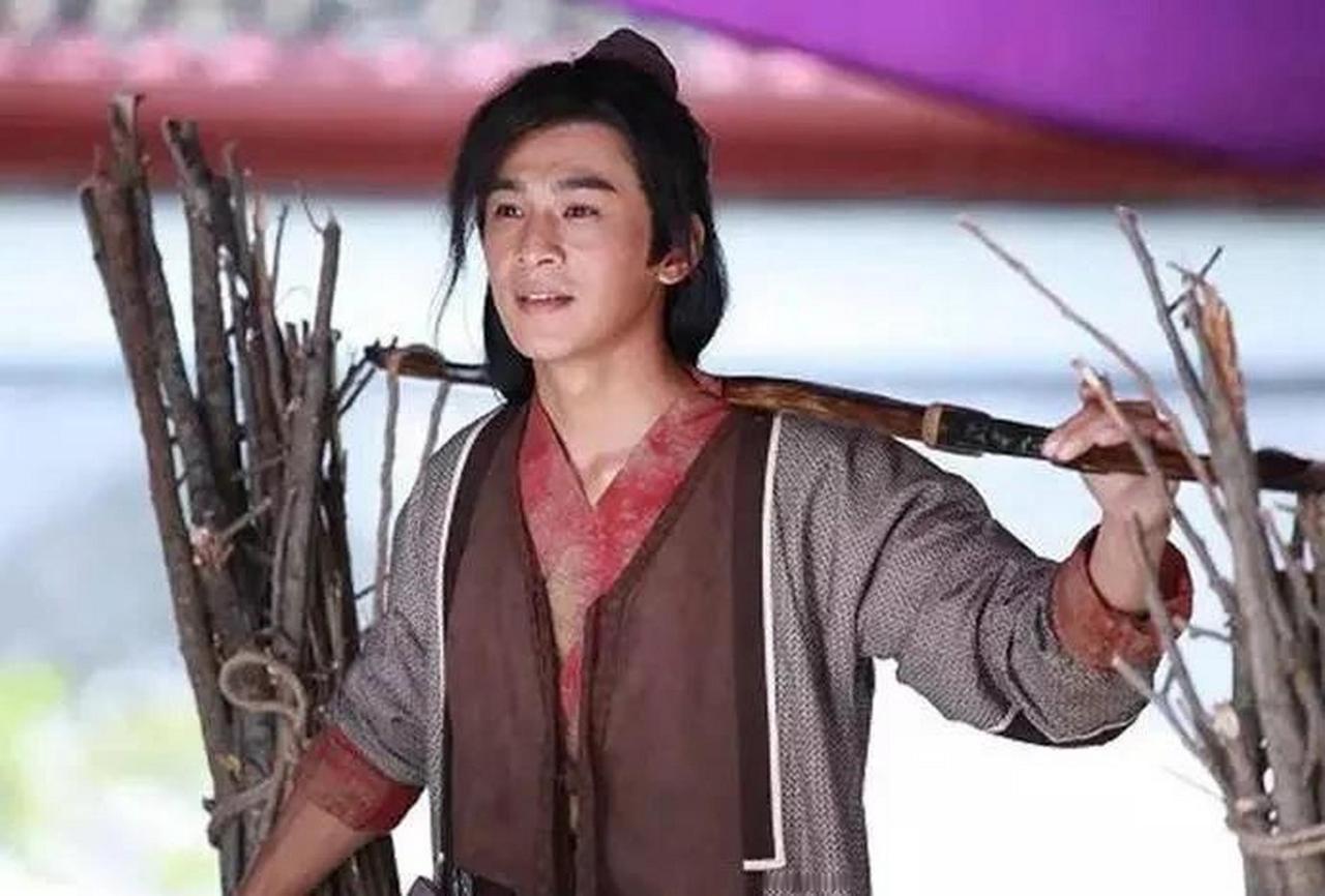 家家户户烧柴火，为何几千年从未缺柴？我们一直想错了公元1012年冬天，北宋首