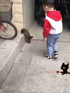 小男孩好暖心，主动帮助小狗！