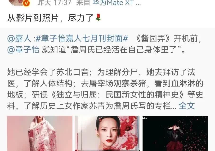 我有预感，章子怡不会再拍戏了原因很简单不是没戏拍，也不是没演技，而是知道