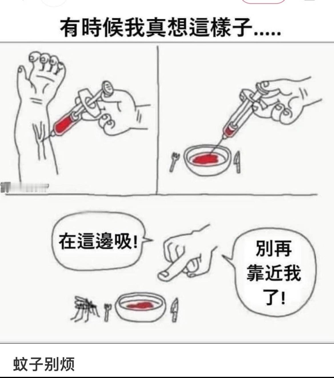 啊啊啊我跟蚊子不共戴天！嗡嗡嗡就算了，你咬人干嘛咬人家脚啊，脚上的血又不多，你们