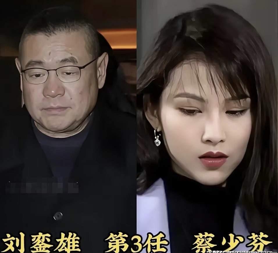刘銮雄的女星名录里，藏着一个“幽灵”。李嘉欣的楼。关之琳的珠宝。蔡少芬母亲