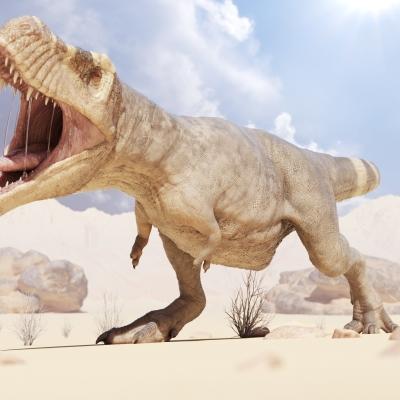 霸王餐事件真相大揭秘：吃饭不付账？网友：把你们的视频晒出来让大家都看看！大家