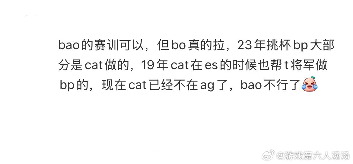 bao的赛训可以，但bo真的拉，23年挑杯bp大部分是cat做的，19年cat在