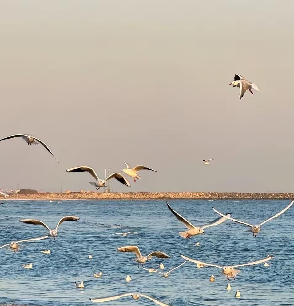 我真是不明白了,我发小58了,公务员,退休金有6000多,可退休以后,竟整天窝在