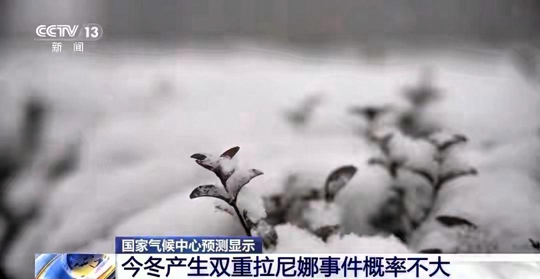 我国已进入拉尼娜状态！什么是拉尼娜？能带来什么影响？先把话说透，拉尼娜不是