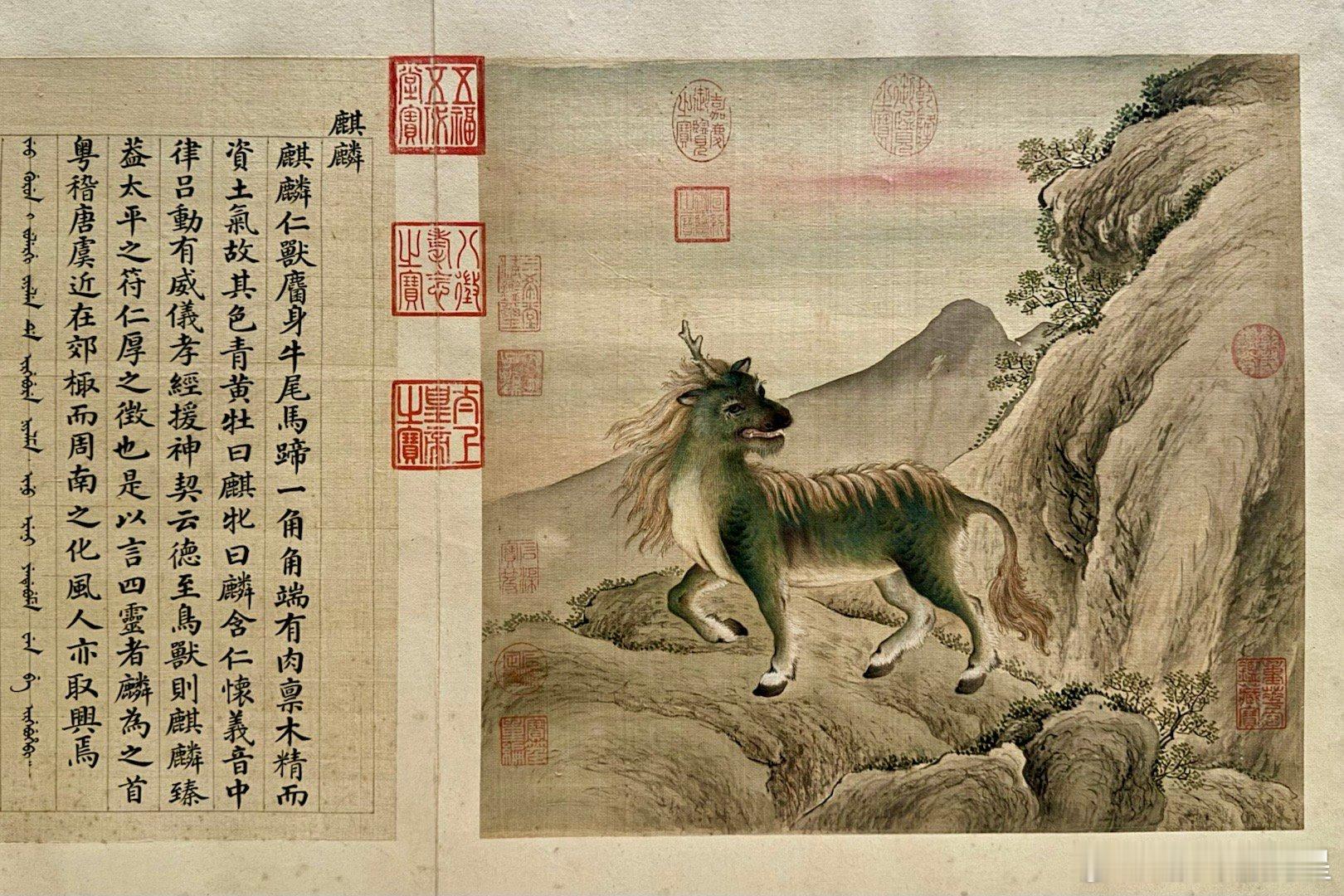 兽谱图册。清乾隆。故宫博物院藏。见于故宫万物和生特展。这是清宫画家余省、张为邦按