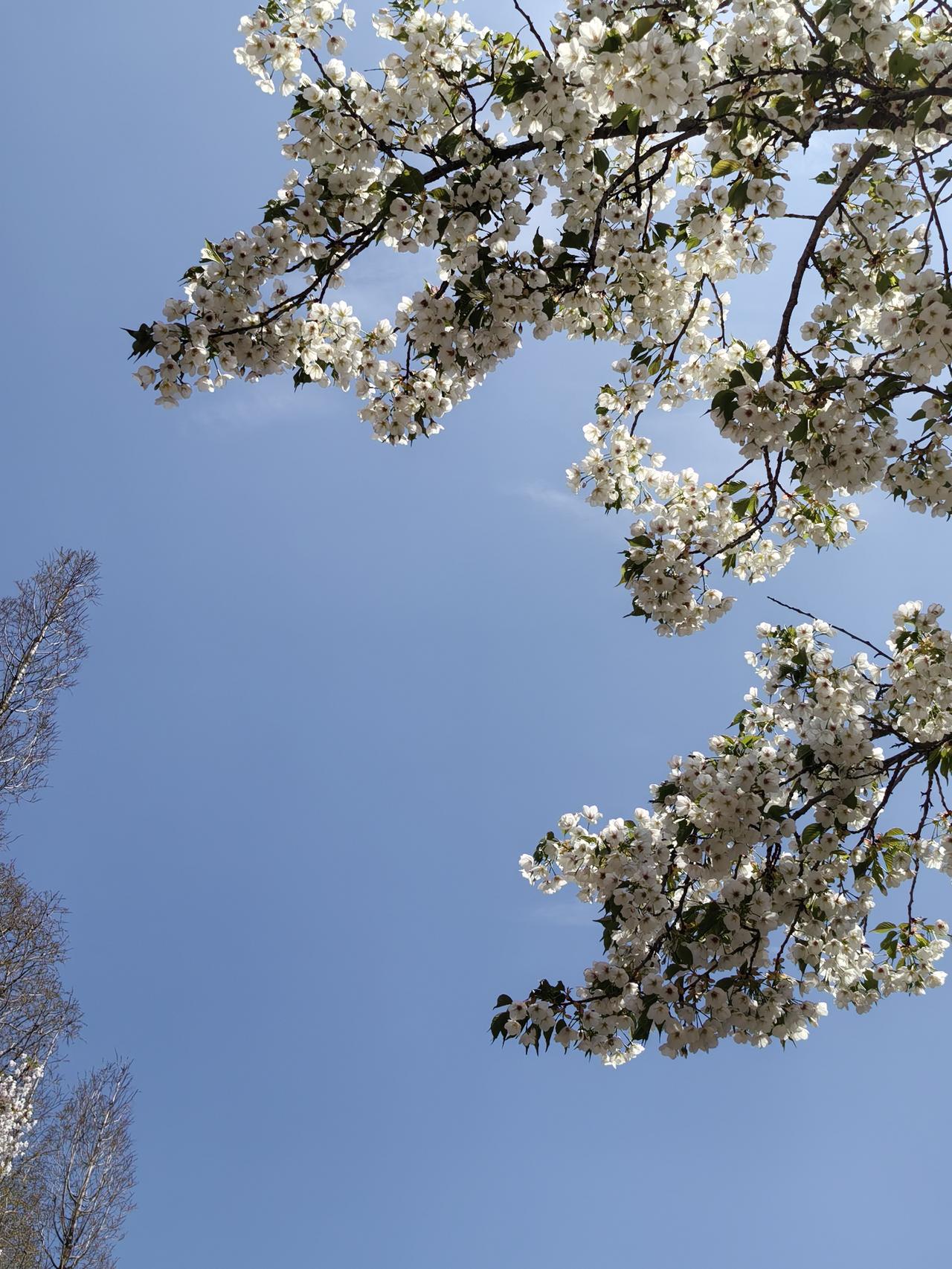儿子婚后事事偏心丈母娘，我很生气，在儿子家住了一天后，我觉得亲家太宠我儿子了。