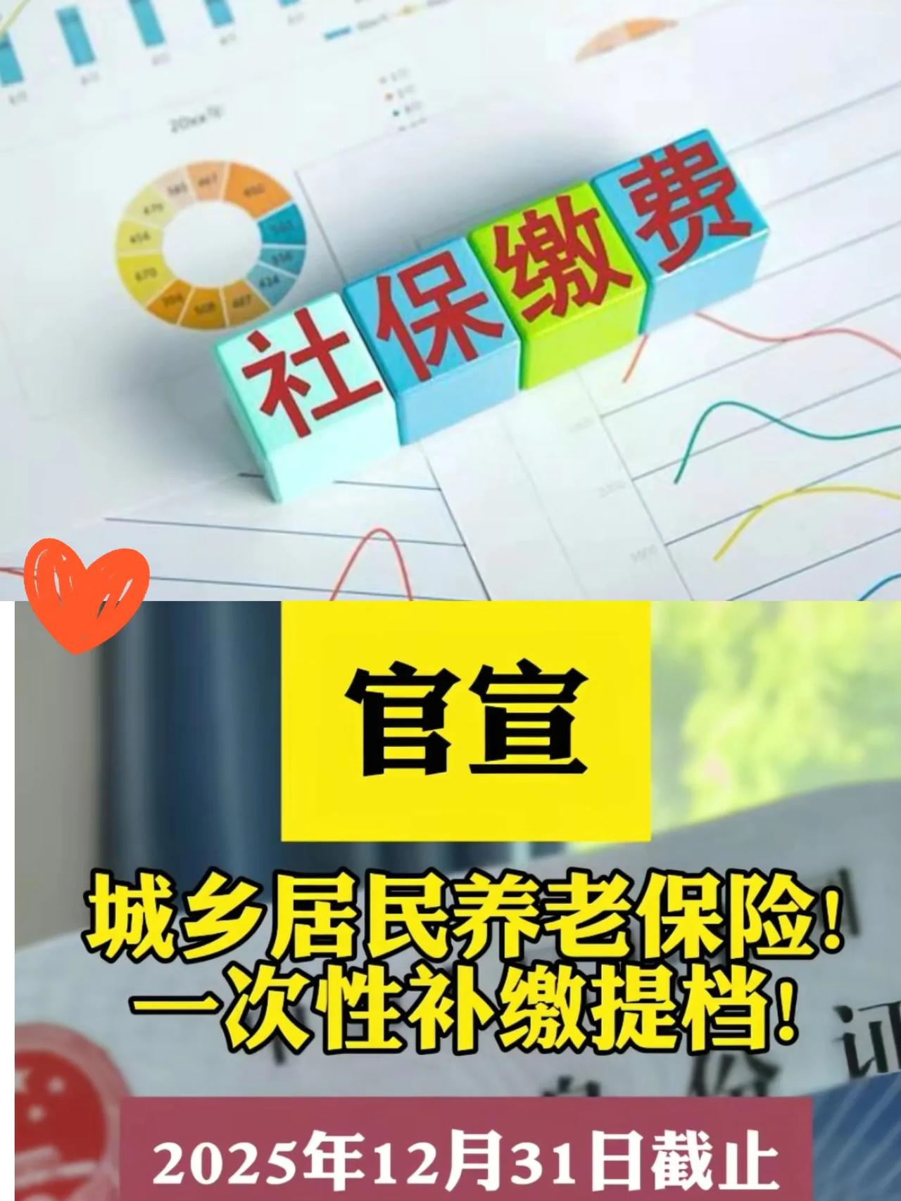 灵活就业缴纳社保，不能跨年补缴！今天是2025年12月11日！自己交灵活就业