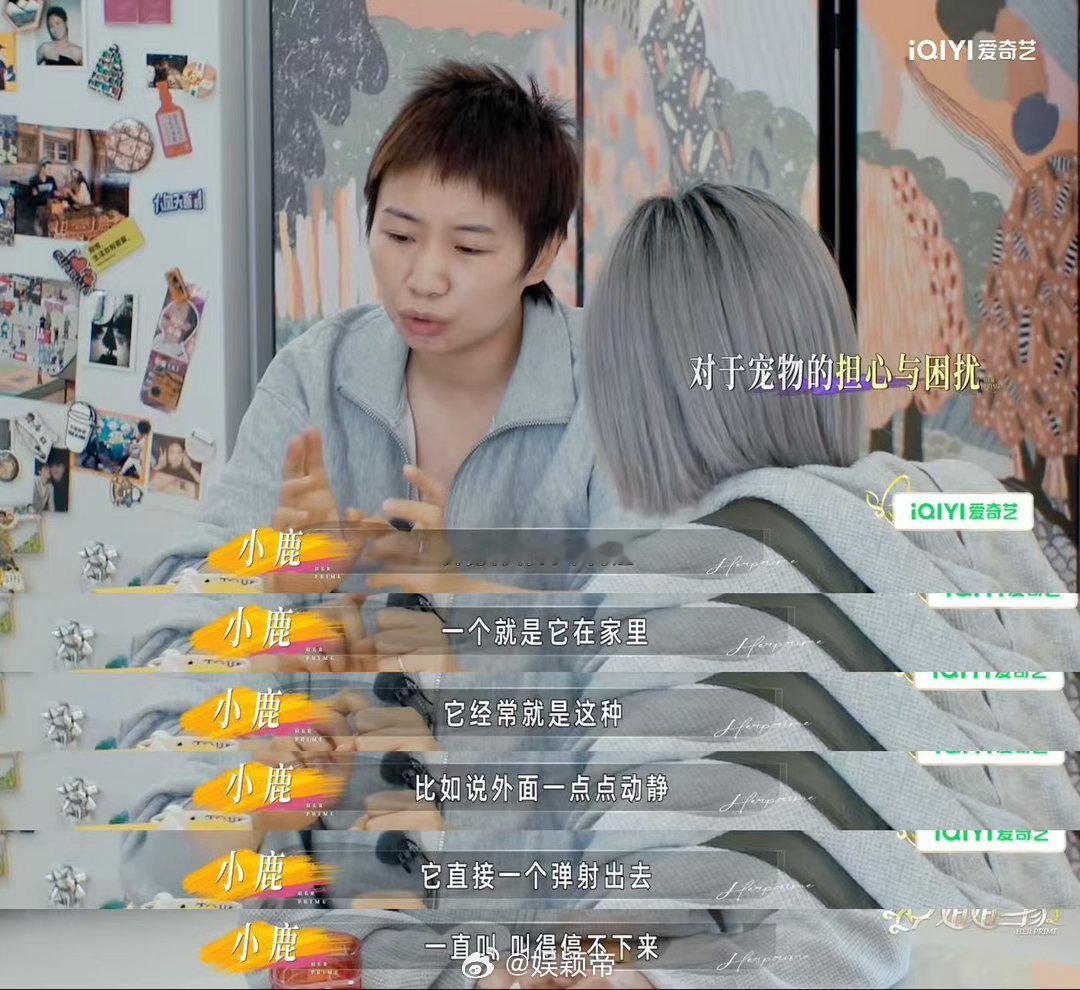 养宠物的人备孕分离焦虑怎么办看完小鹿和墨尔本分别这段狠狠破防！小狗墨尔本容易被噪