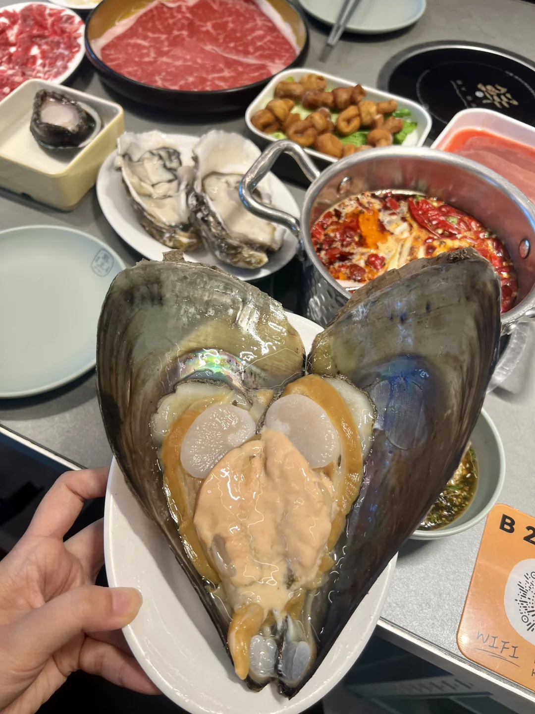 15块钱的超大带子，9块9的活鲍鱼